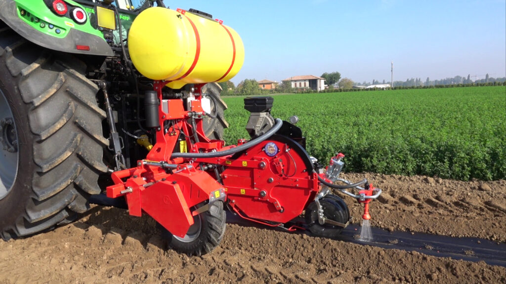 SEEDPRO-Checchi-magli|SEEDPRO-Checchi-magli|SEEDPRO-Checchi-magli